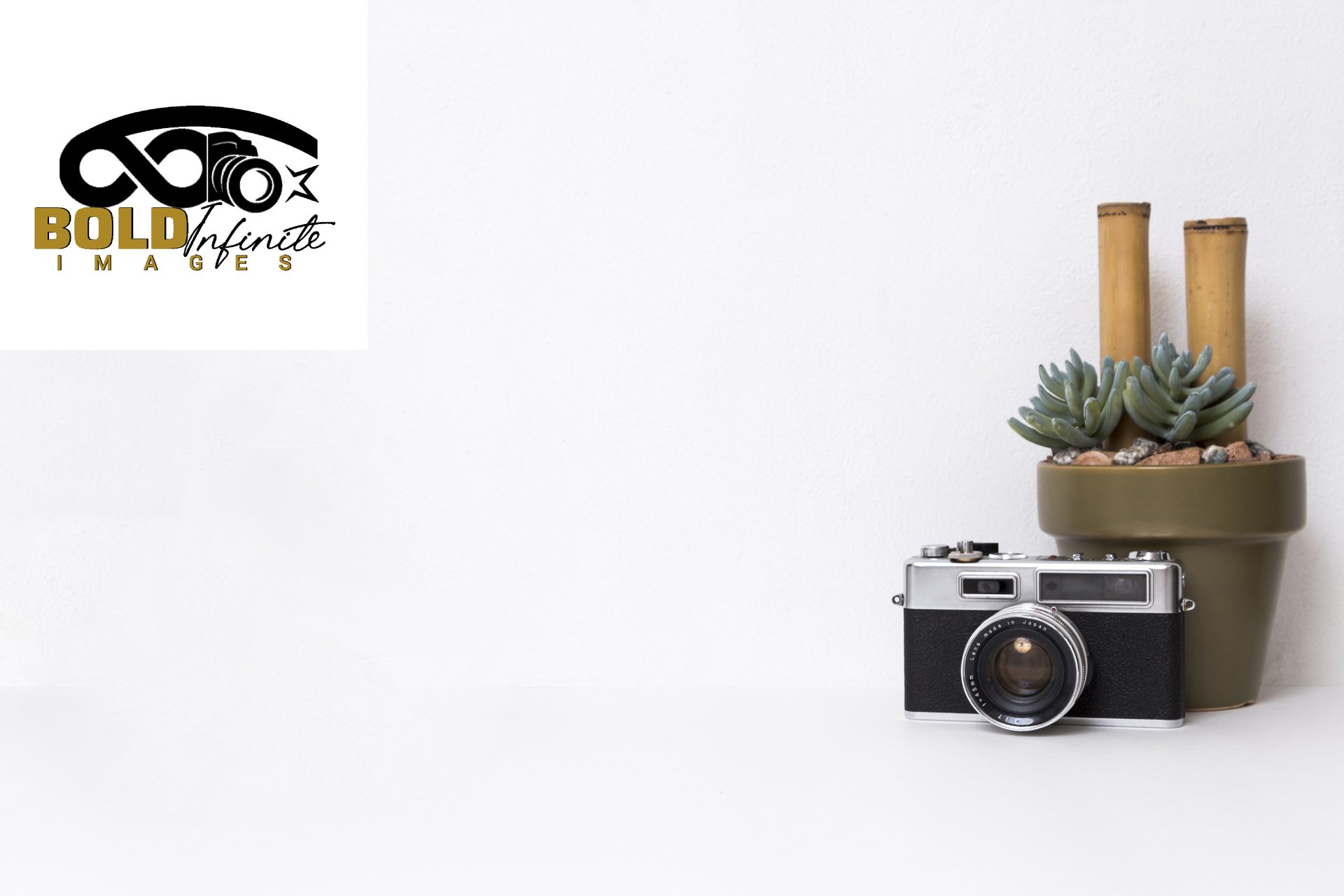 Vintage camera beside a sculptural plant in the Bold Infinite Images studio identity